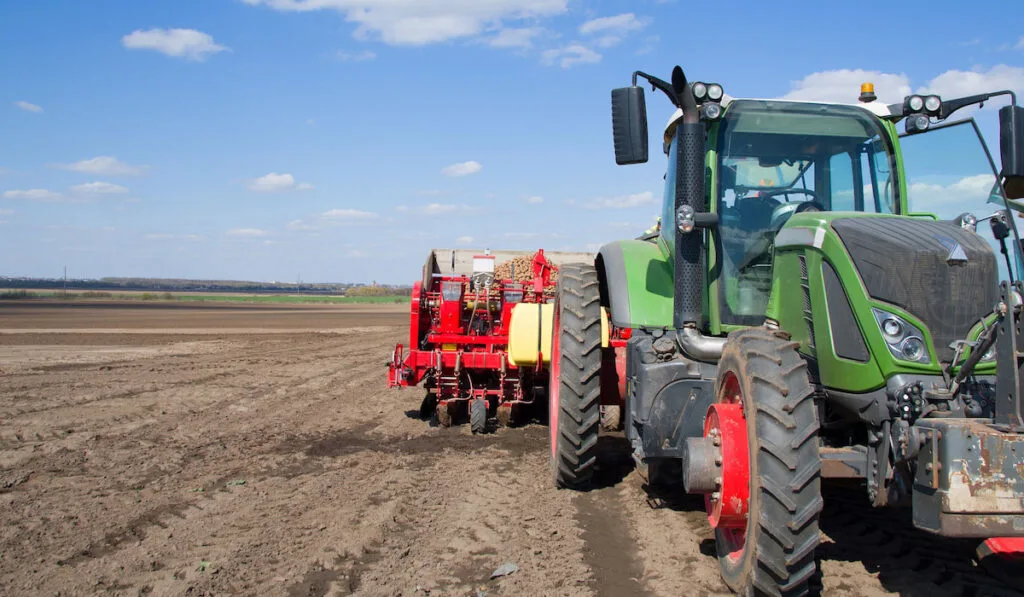 A row crop tractor planting a potato crop on the prairies