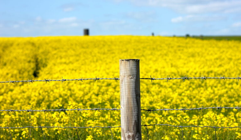 9 Types Of Farm Fencing - Farmhouse Guide