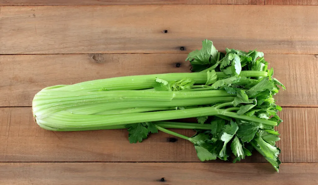 Bunch of Celery on Wooden Background

