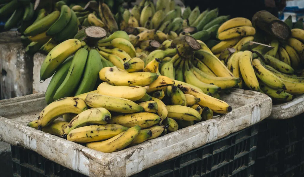 Crate of ripe bananas in the market