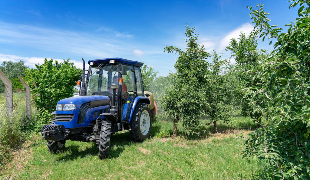 Farmer driving orchard tractor through Apple orchard, spraying insecticide