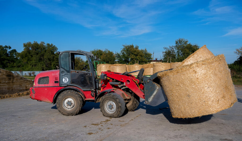 Farmer-unloading-round-bales-of-straw-with-a-front-end-loader