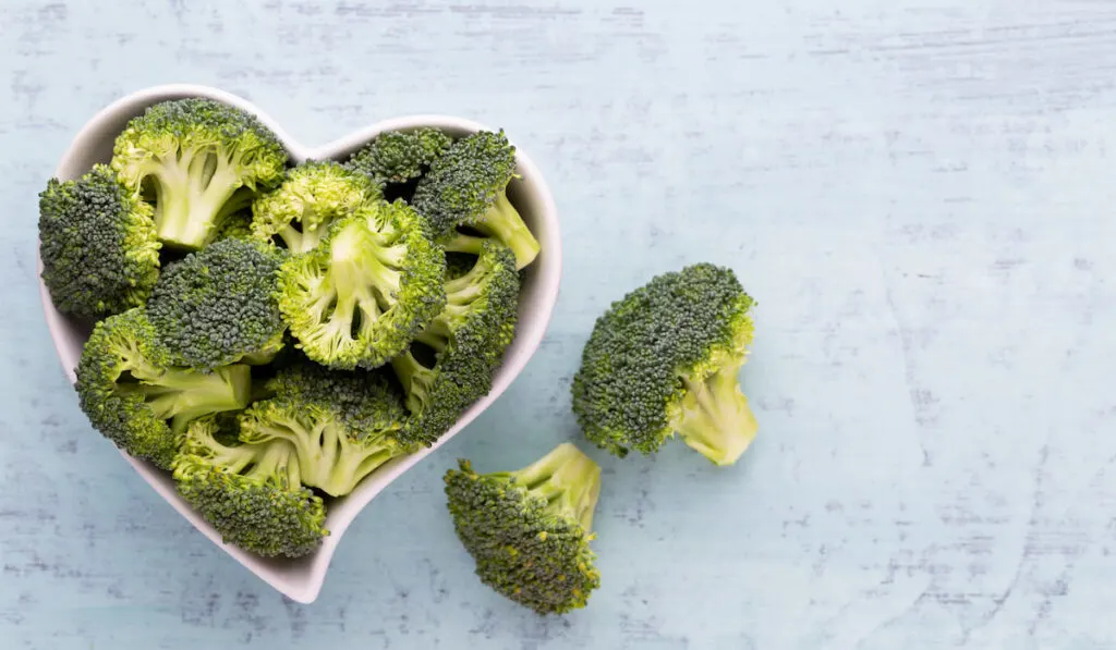 Fresh broccoli in a heart shaped bowl on a gray background