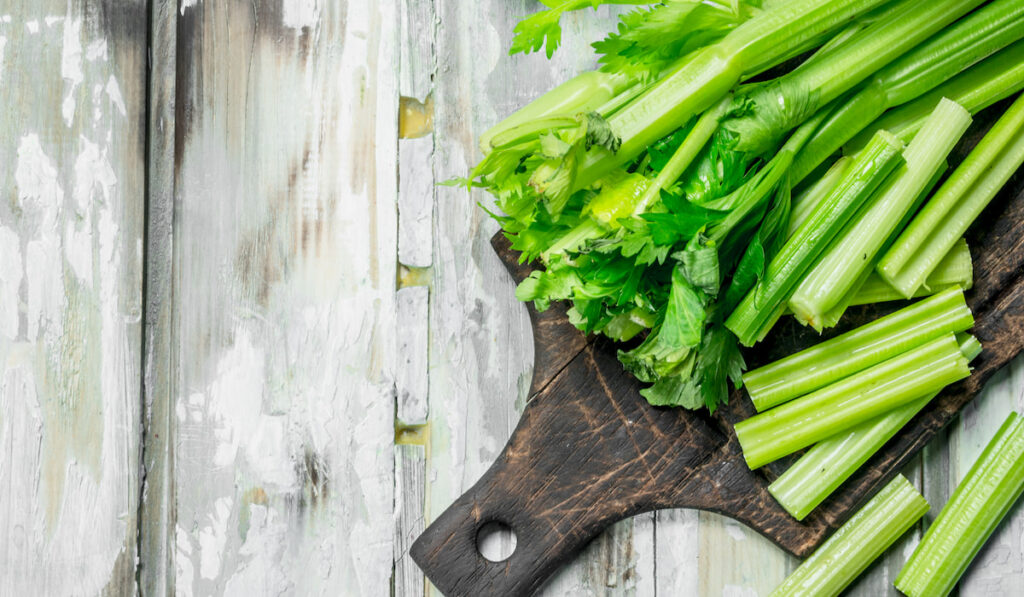 Fresh celery on a cutting Board. On wooden background

