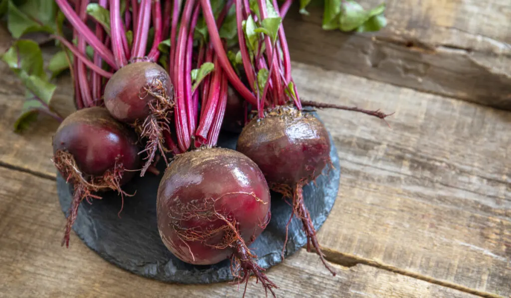 Fresh organic ripe juicy beetroot (beets) on a wooden kitchen table