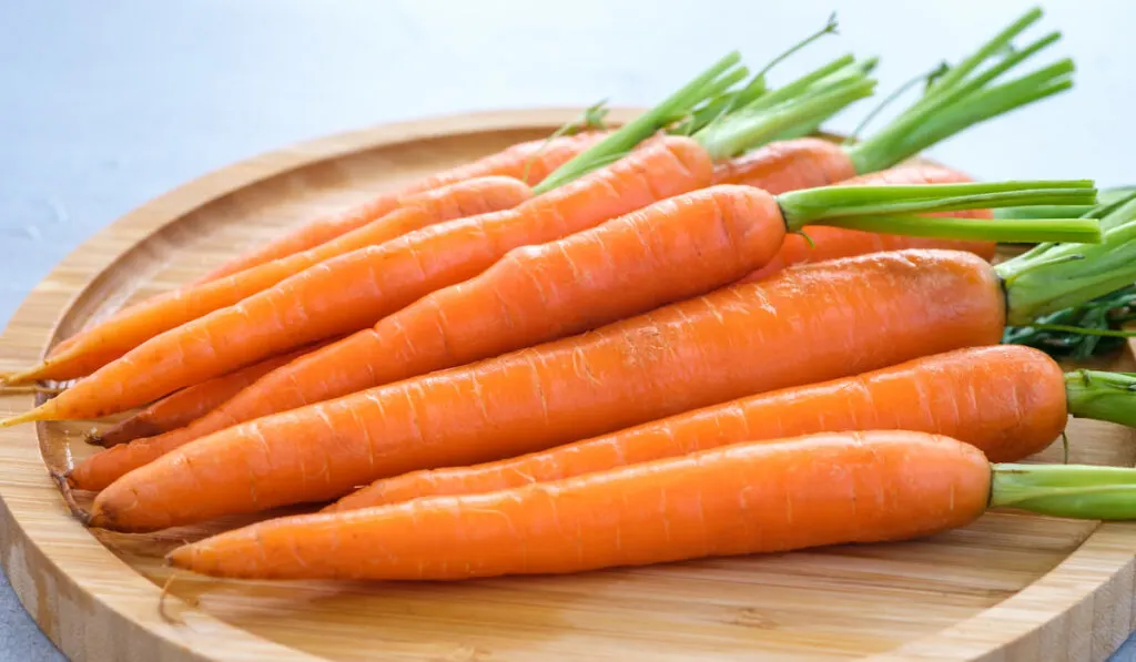Fresh raw carrots on round wooden tray