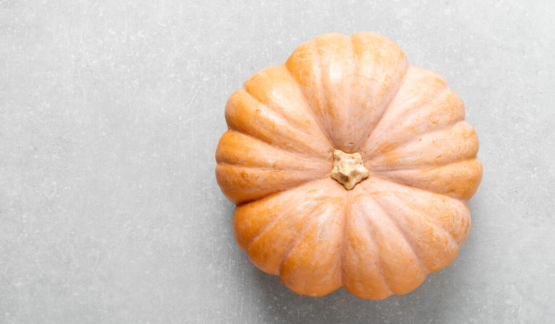 11 Best Vegetables for Chickens Farmhouse Guide