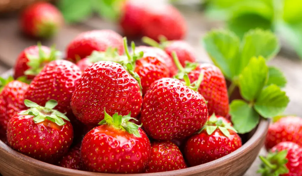 Fresh strawberries with leaves in a wooden bowl