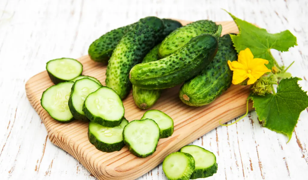 Fresh whole and sliced cucumbers on a old wooden background with leaves and flower