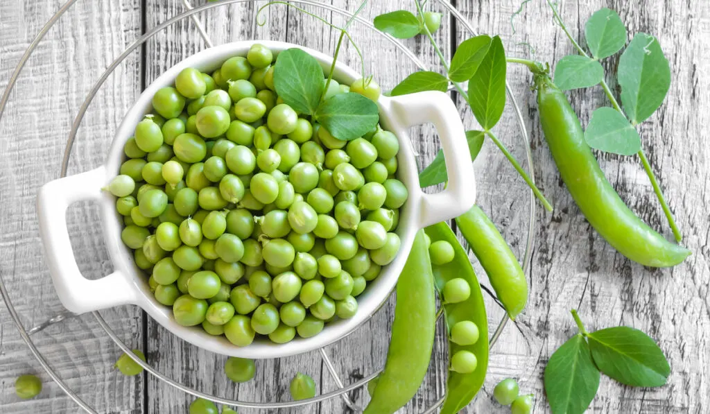 Green peas in a bowl on a table