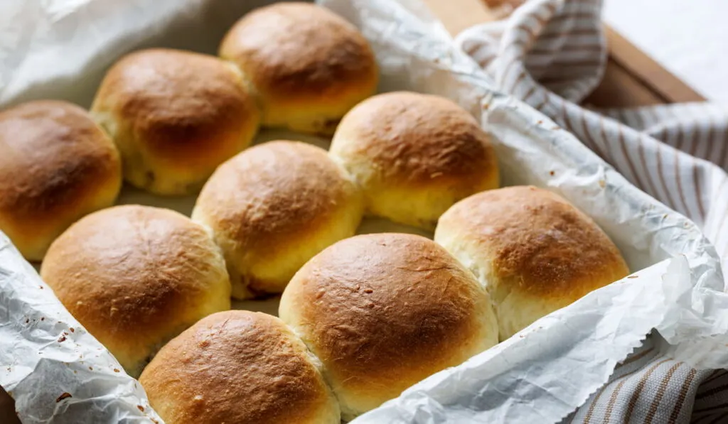 Homemade yeast dinner rolls