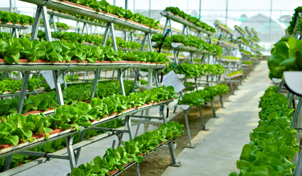 Hydroponic vertical farming systems , urban farming