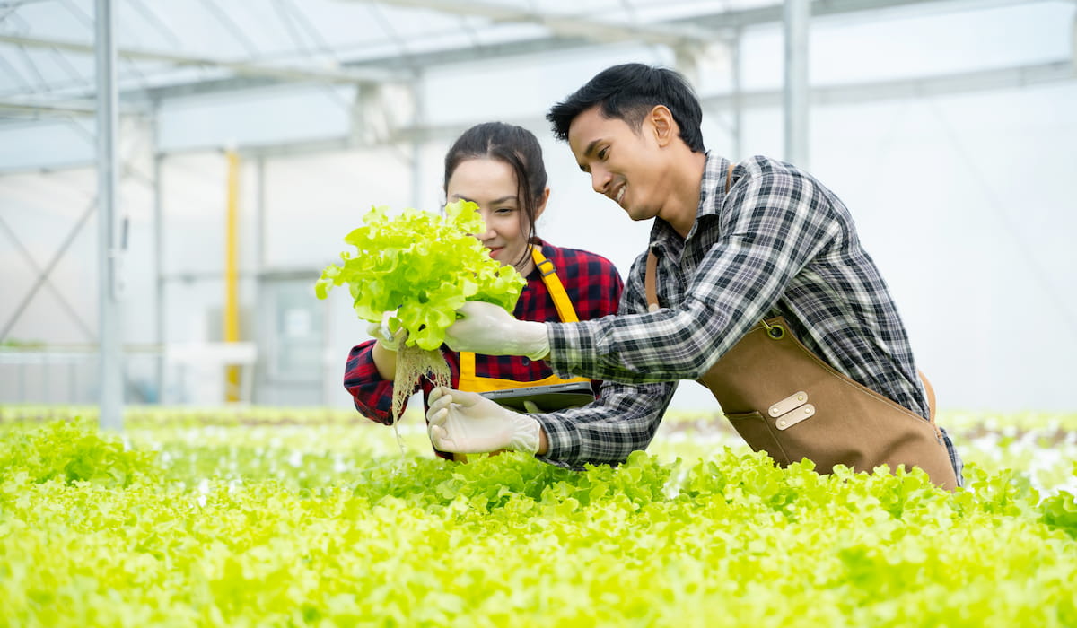common-types-of-urban-farming-farmhouse-guide