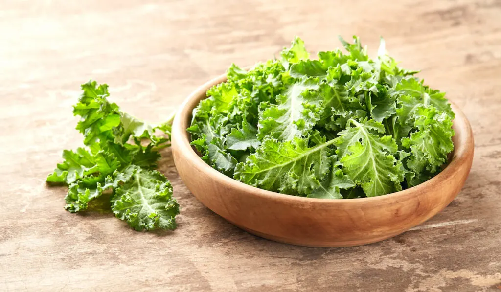 Kale leaves in a wooden bowl on wooden background