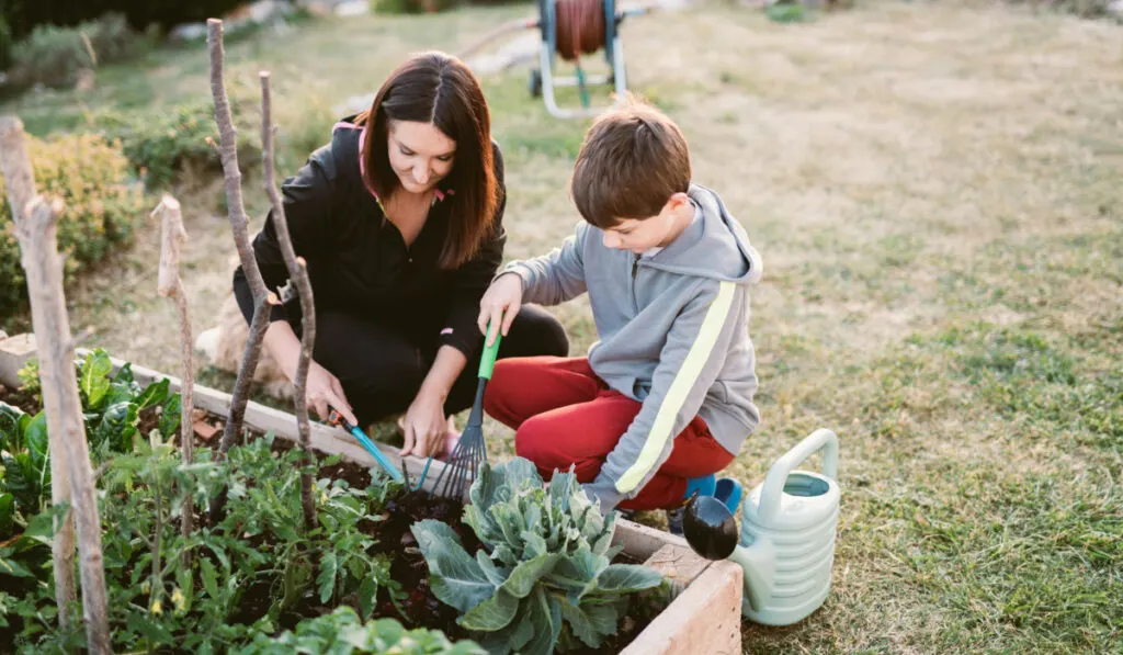 Mother and son working in a vegetable garden