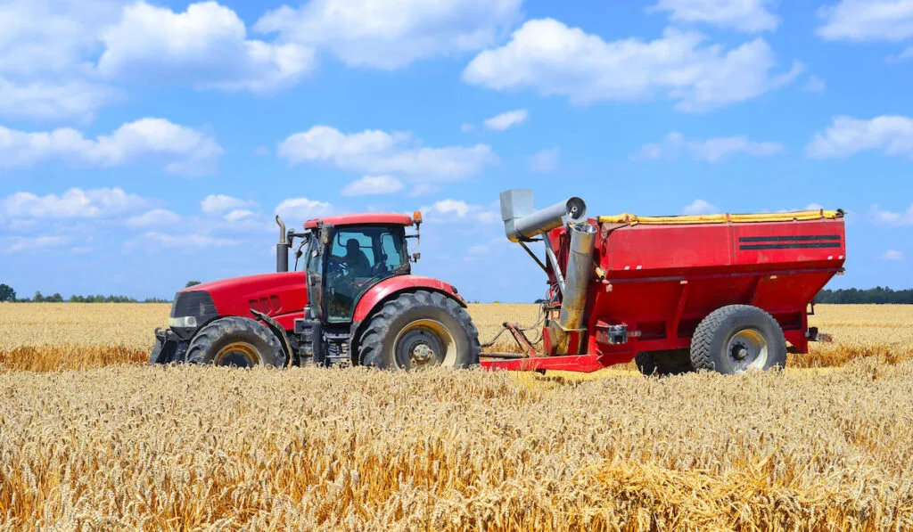 Red Implement Carrier Tractor with trailer for harvesting grain