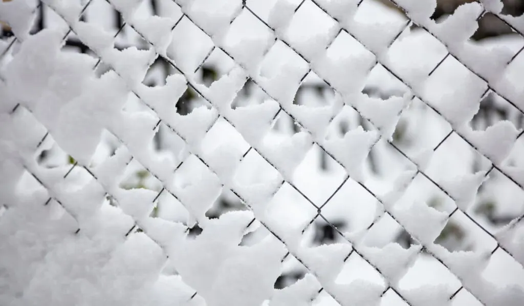 Wire mesh fence covered with snow