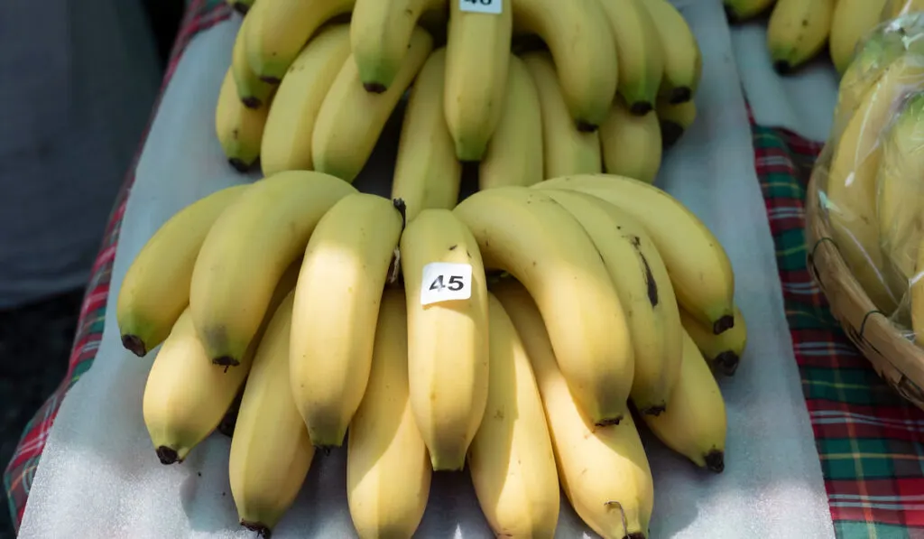 bananas on the cloth in the market with price note