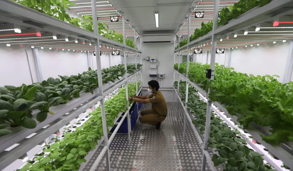 container farming 