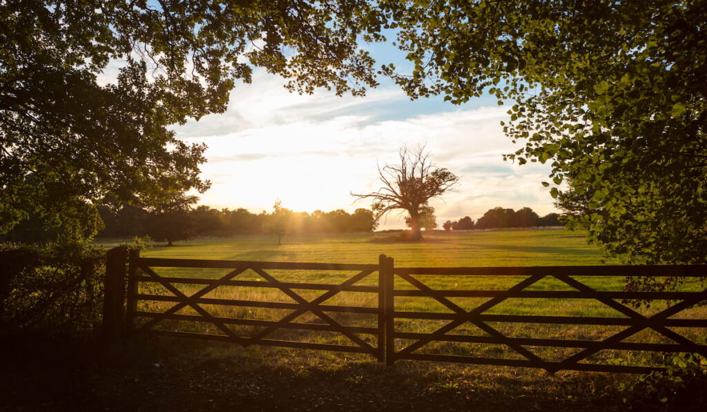 country farm gate 
