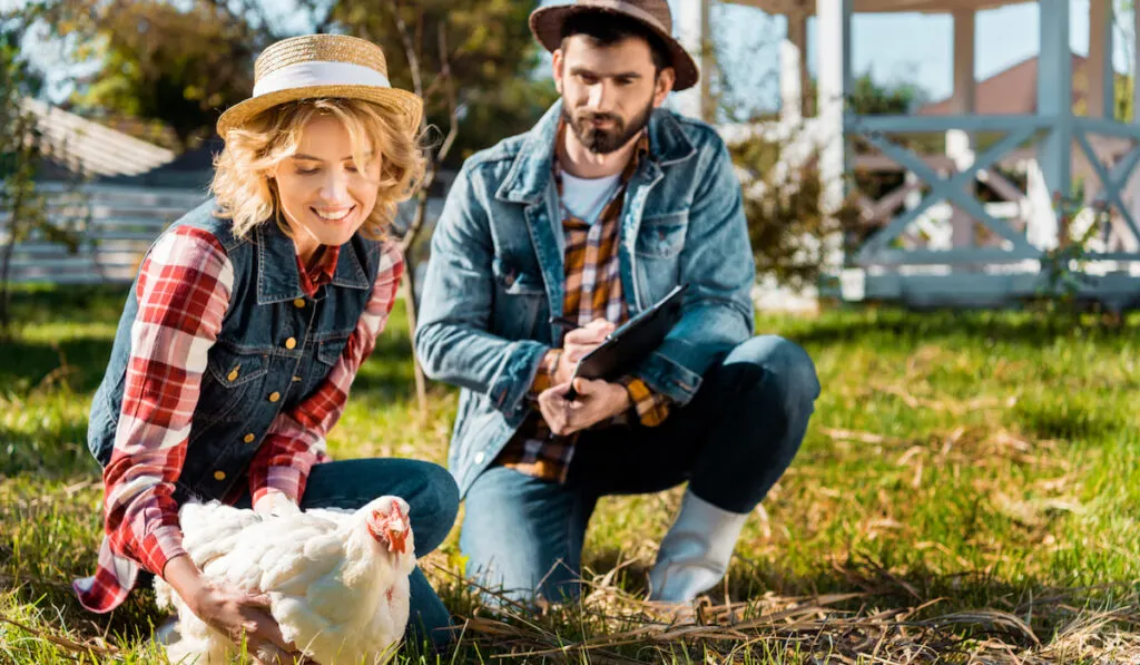 woman holding chicken while her boyfriend writing in clipboard at farm