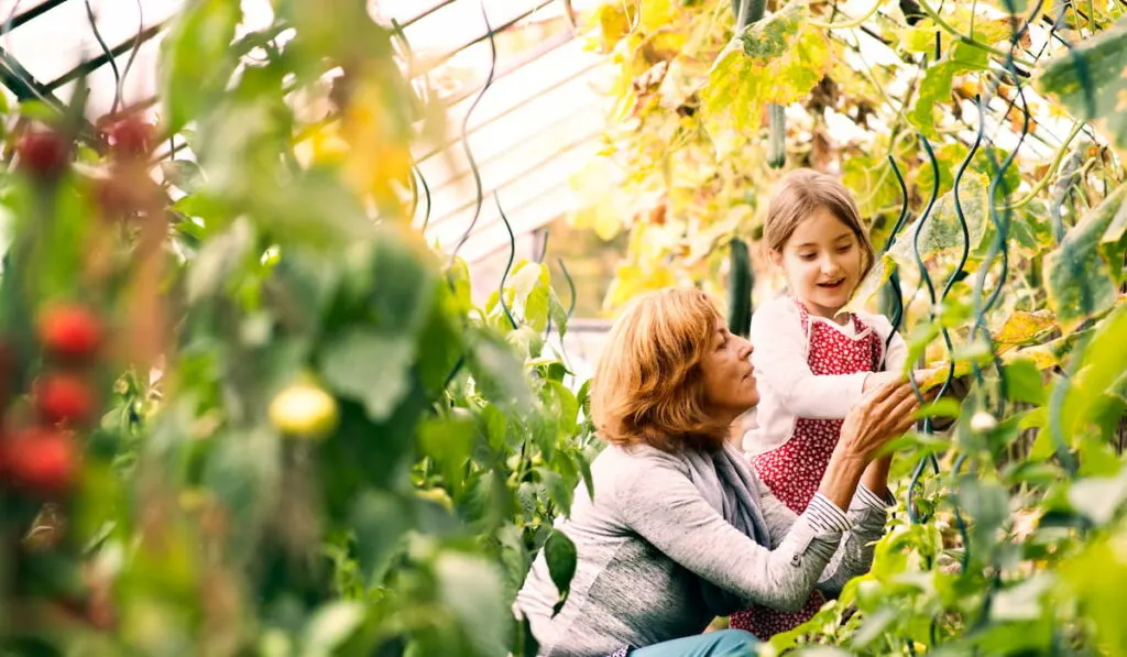 woman with grandaughter gardening in the backyard garden.