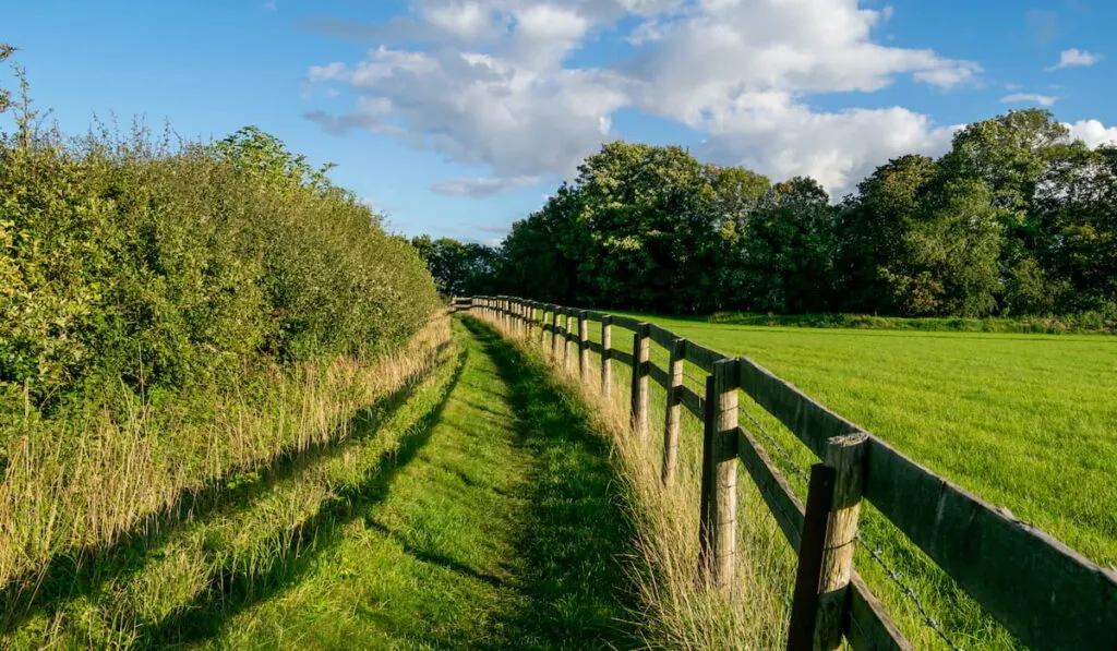 field fence on the field