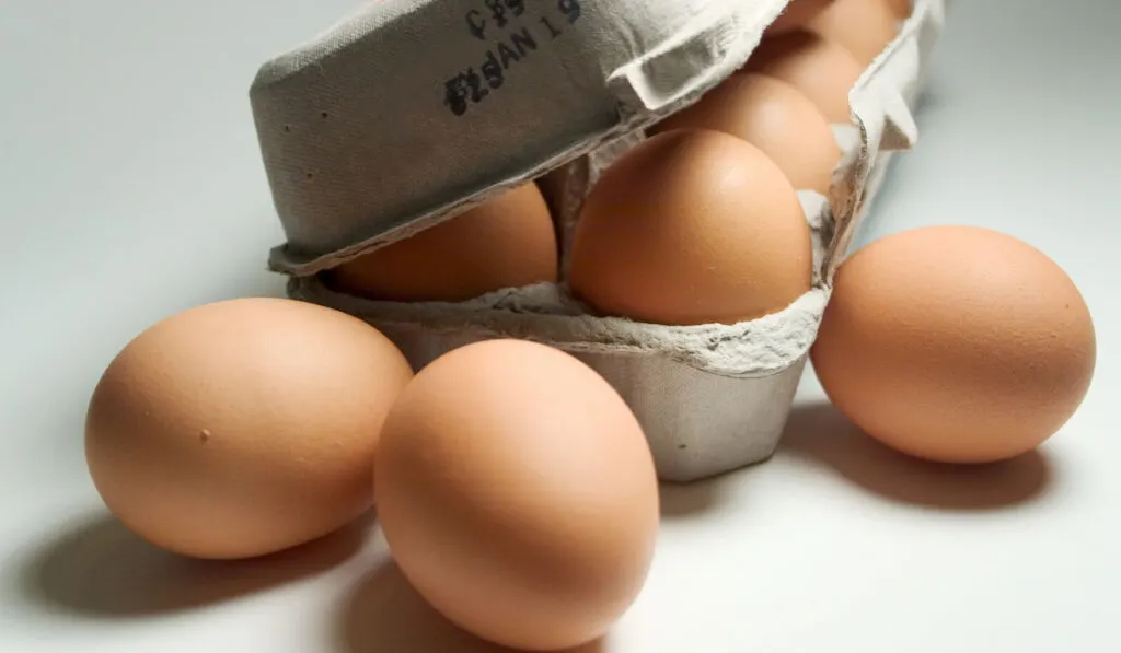 A dozen of eggs in egg carton box with expiry dates on white table