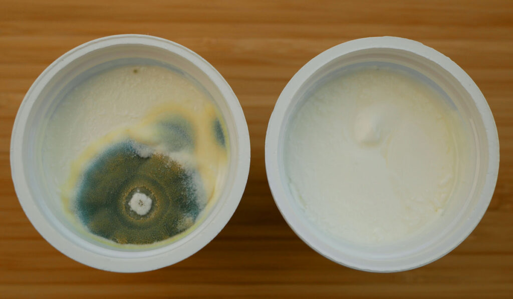 Cup of yogurt with mold mildew on wooden table