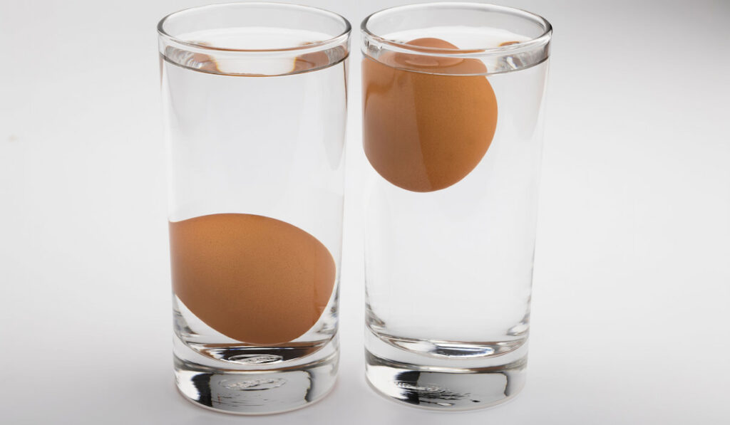two glasses of water with one egg each glass for a water test. one egg is floating and the other is on the bottom