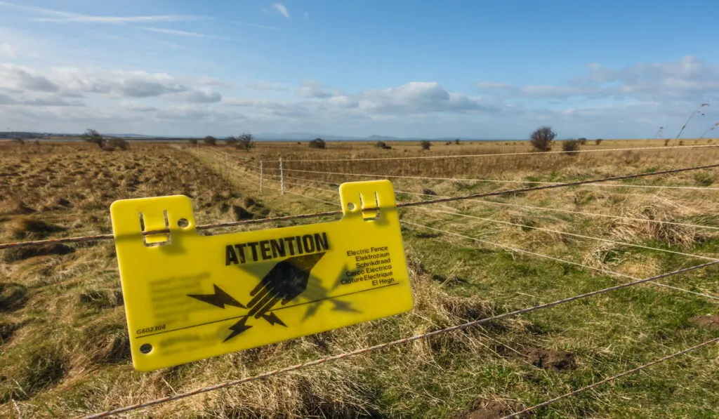 Electric fencing