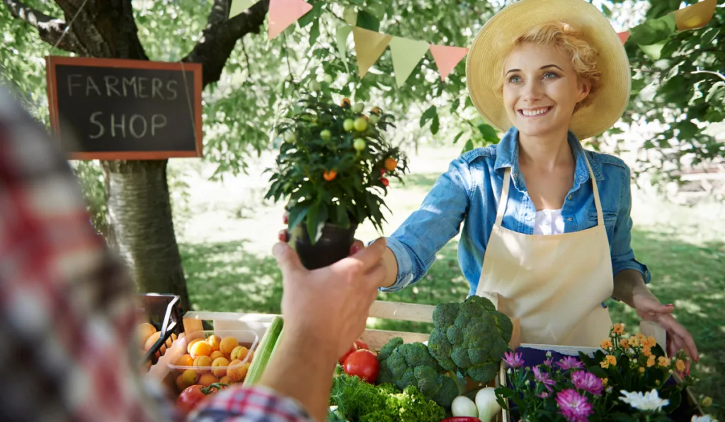 Young woman selling organic vegetables outdoors
