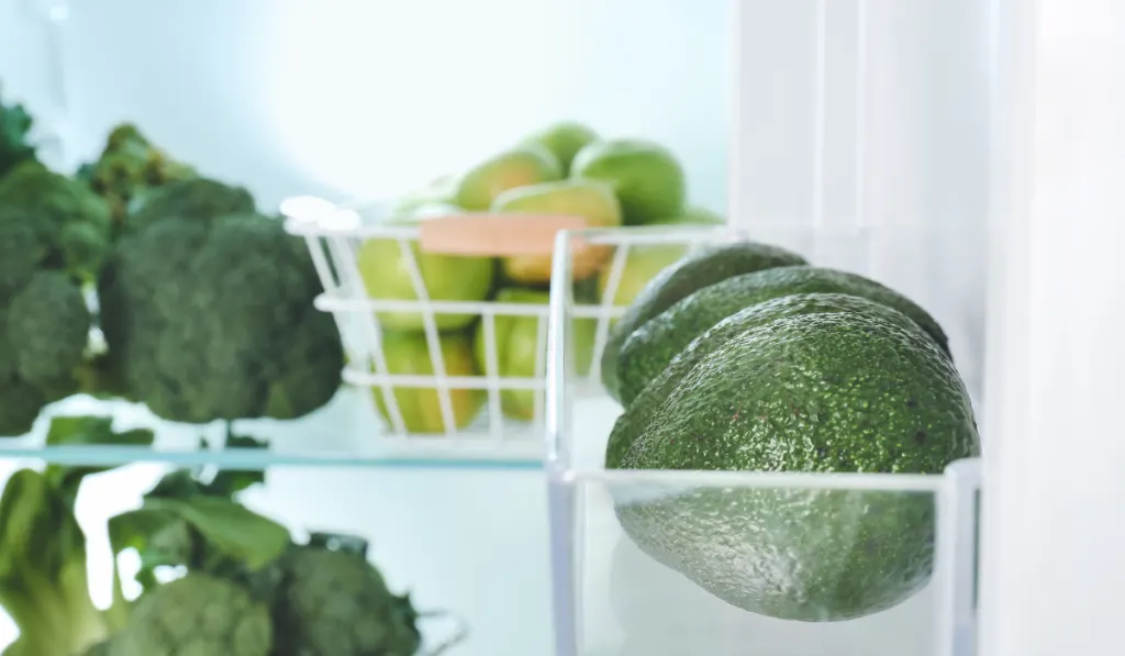 Open refrigerator full of green vegetables with some avocados