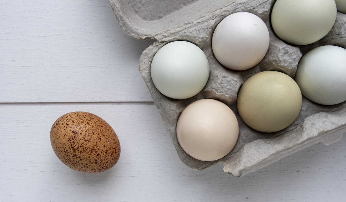 How To Tell If An Egg Is Bad