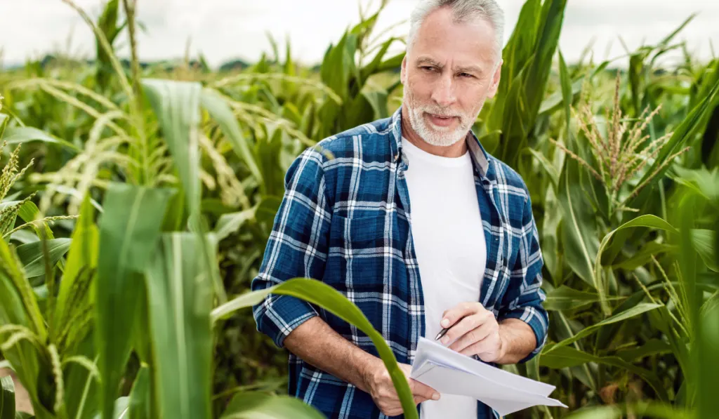 Portrait of a senior farmer standing in a corn field taking control of the yield
