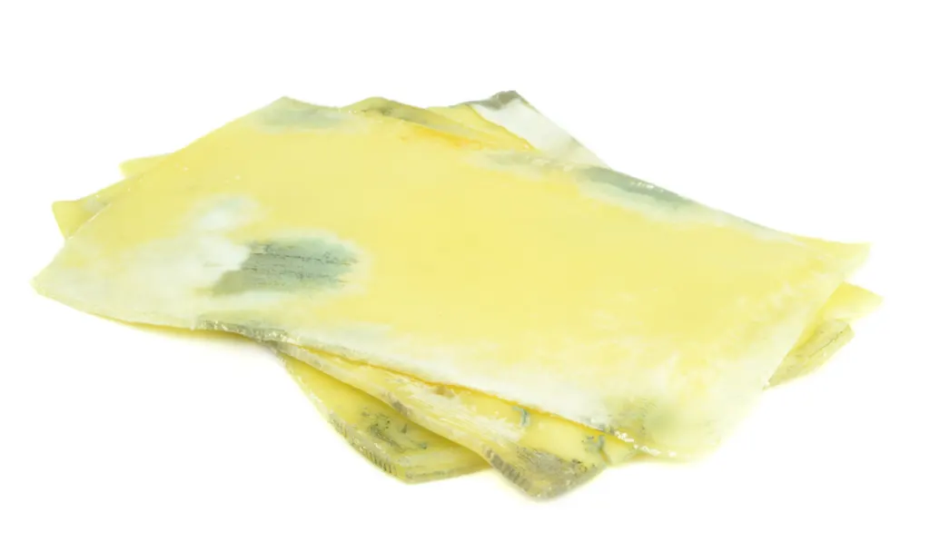 Rotten Slices of Cheese with molds