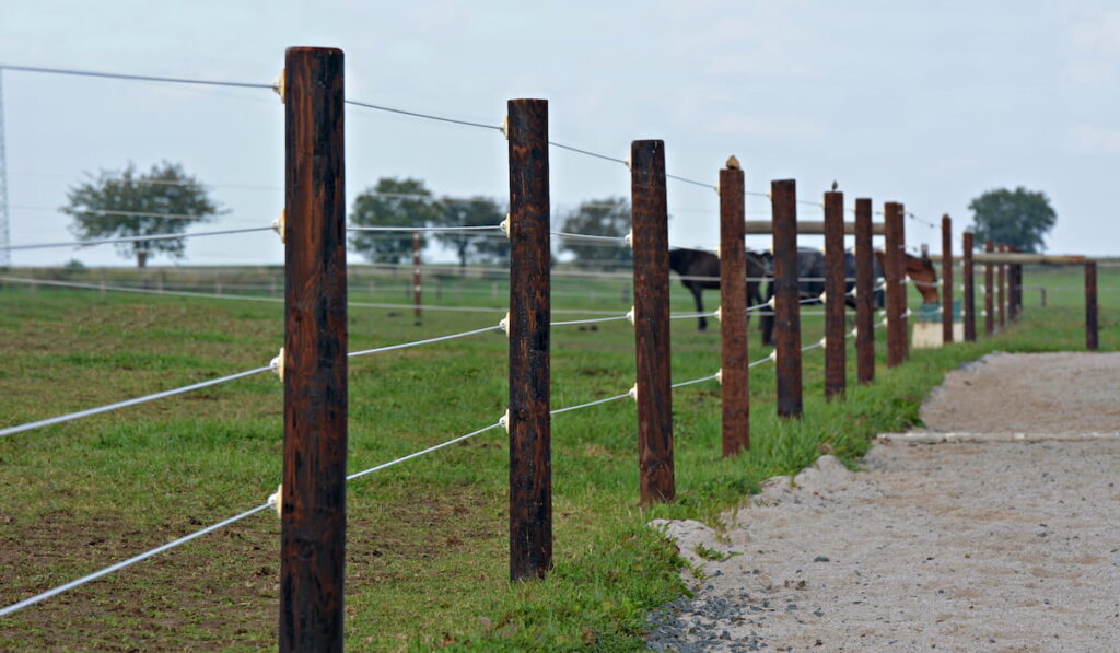 Smooth Wire Fencing