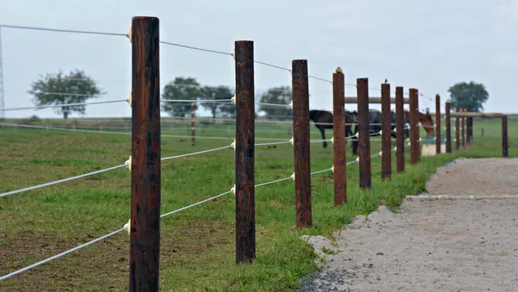 Smooth-Wire-Fencing