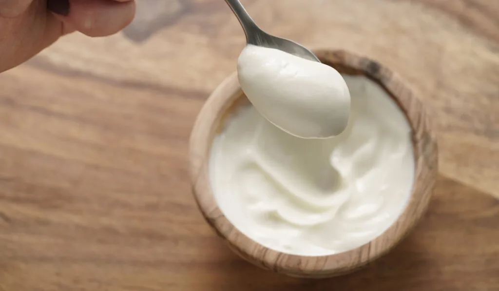 Spoon of homemade yogurt in wooden bowl on the table 