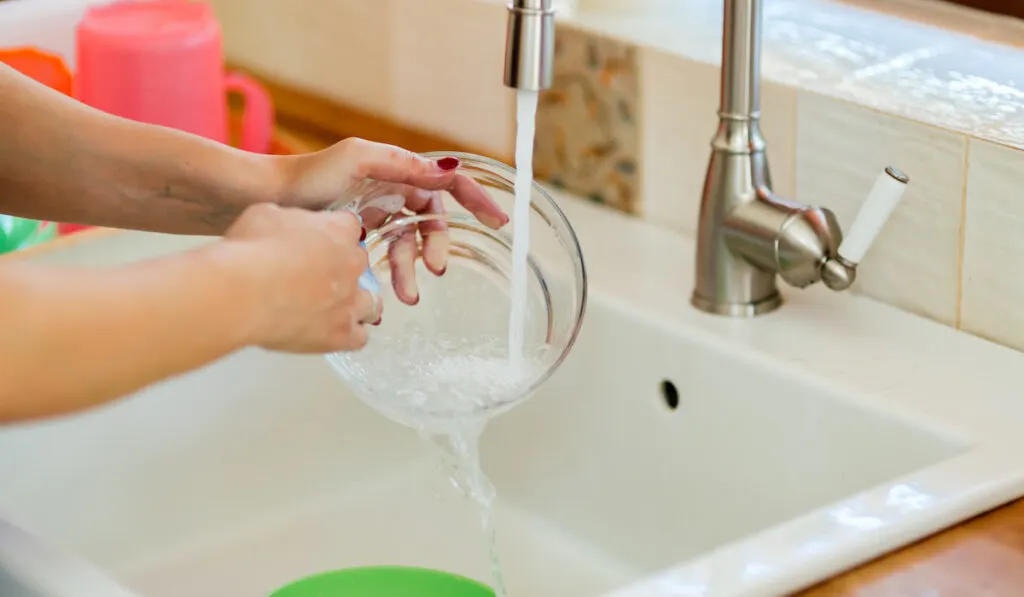 Woman washing a transparent bowl in the kitchen