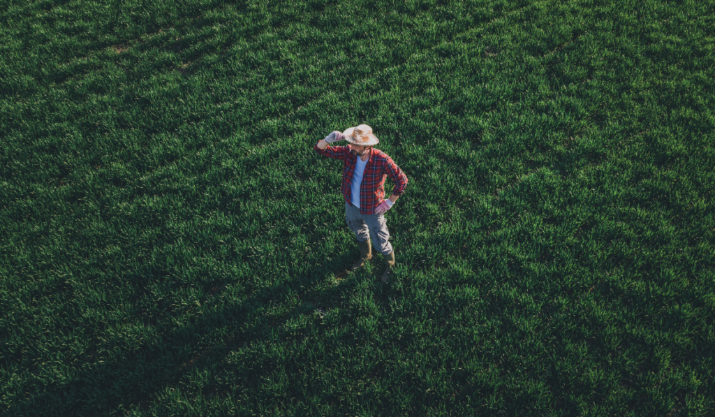 top view of a farmer talking to someone on the phone