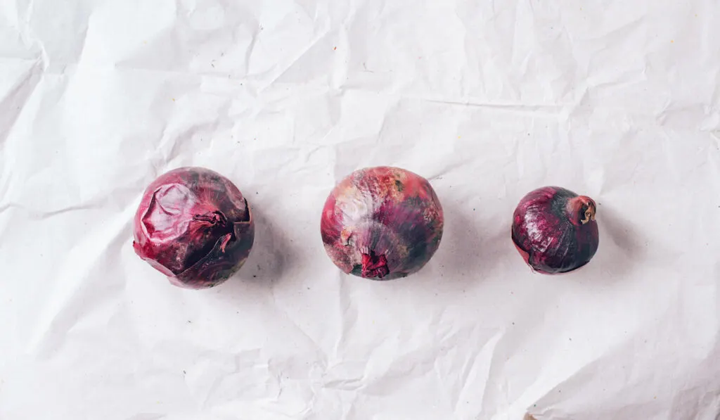 three pieces of purple onion on craft paper background