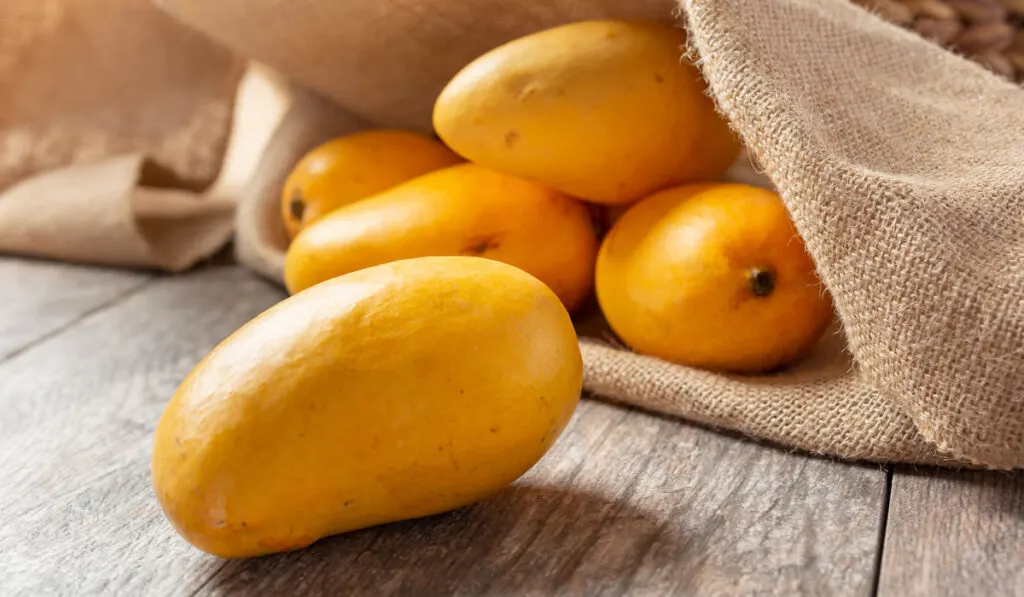 A view of several mangoes on wooden table