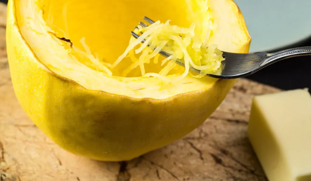 Closeup of half roasted spaghetti squash with fork and cheese on the table