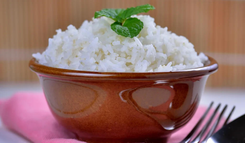 Cooked white rice garnished with mint