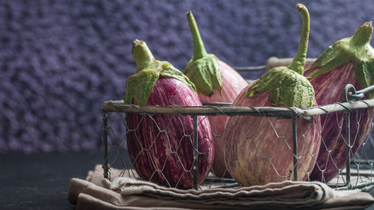 Eggplants-in-metal-basket-over-dark-slate-background