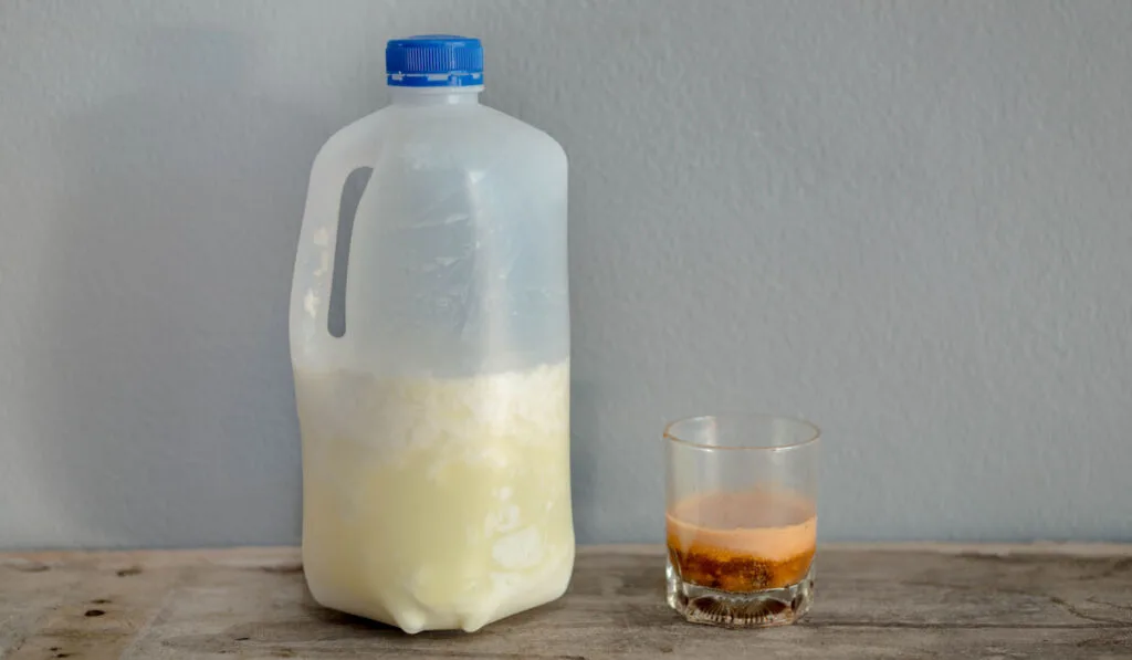 Expired spoiled milk in the bottle on wooden table