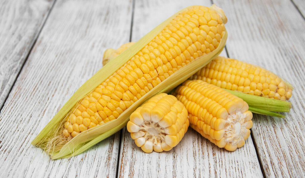 Fresh corn on the cob on wooden table