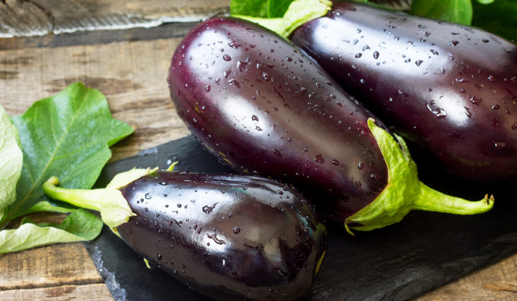 Fresh healthy raw purple eggplants on wooden table