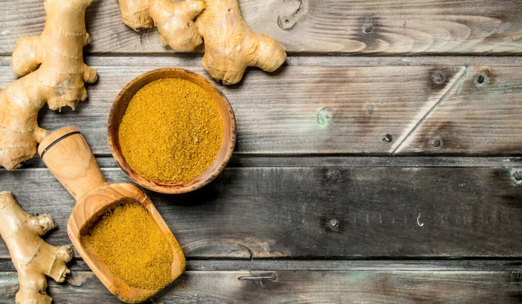 Ground ginger in a bowl and scoop on wooden background